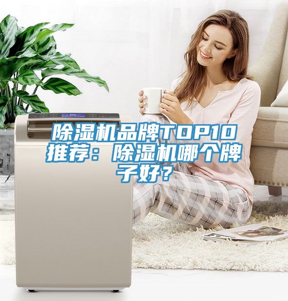 除濕機(jī)品牌TOP10推薦：除濕機(jī)哪個(gè)牌子好？