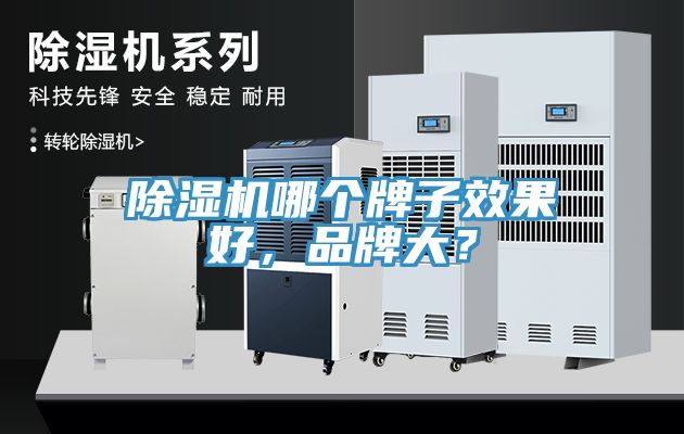 除濕機(jī)哪個(gè)牌子效果好，品牌大？