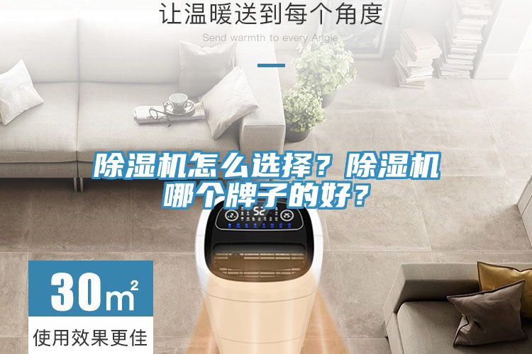 除濕機怎么選擇？除濕機哪個牌子的好？
