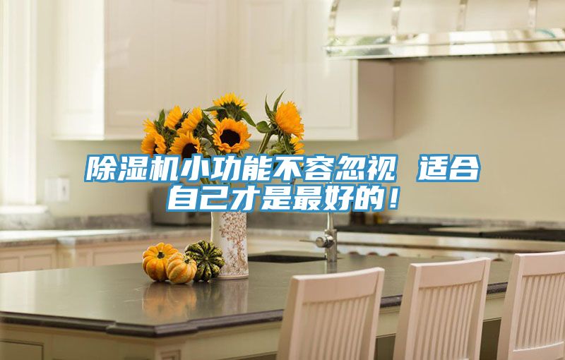 除濕機(jī)小功能不容忽視 適合自己才是最好的！