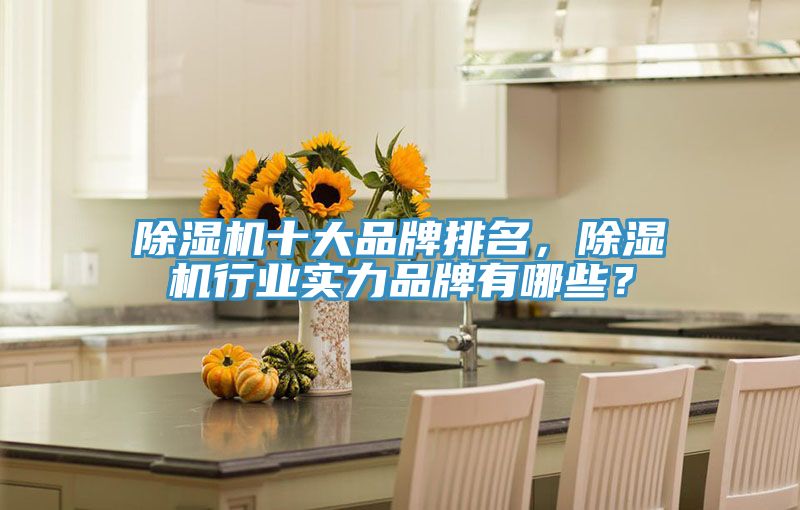除濕機(jī)十大品牌排名，除濕機(jī)行業(yè)實力品牌有哪些？