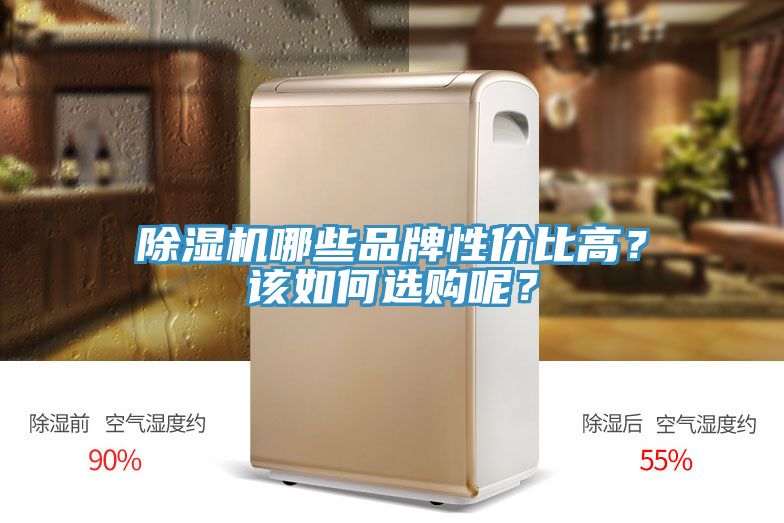 除濕機(jī)哪些品牌性價(jià)比高？該如何選購呢？