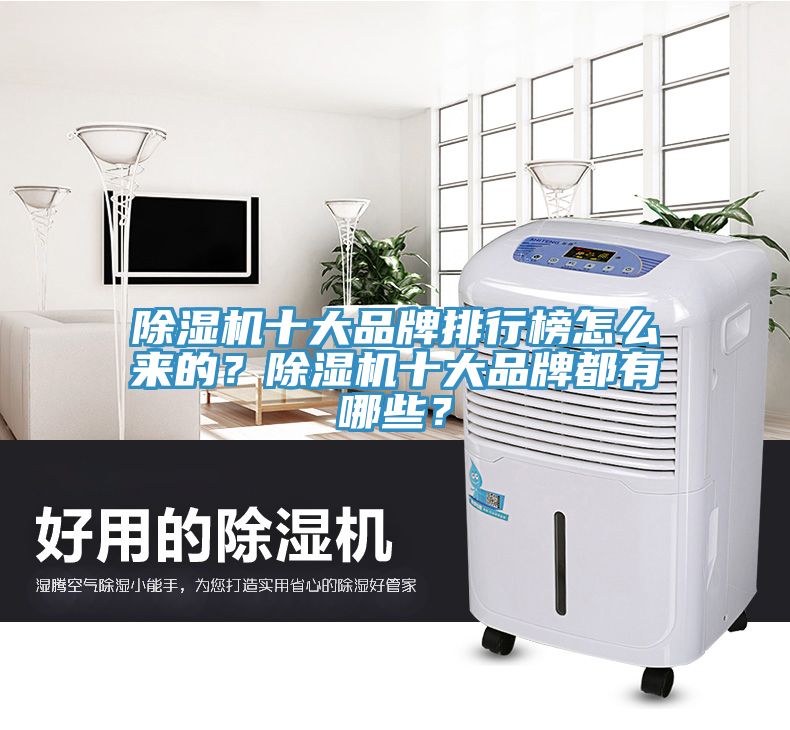 除濕機(jī)十大品牌排行榜怎么來的？除濕機(jī)十大品牌都有哪些？