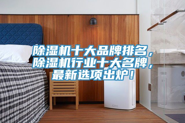 除濕機(jī)十大品牌排名，除濕機(jī)行業(yè)十大名牌，最新選項出爐！