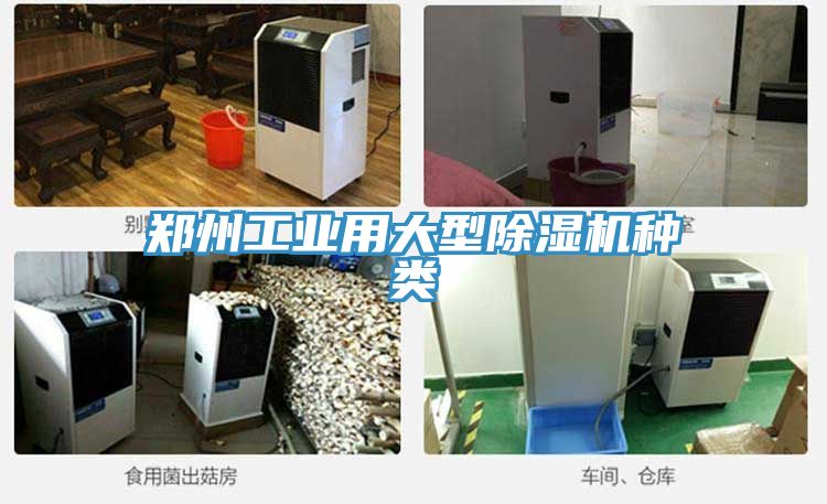 鄭州工業(yè)用大型除濕機(jī)種類(lèi)