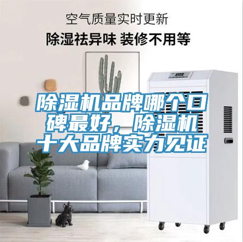 除濕機品牌哪個口碑最好，除濕機十大品牌實力見證