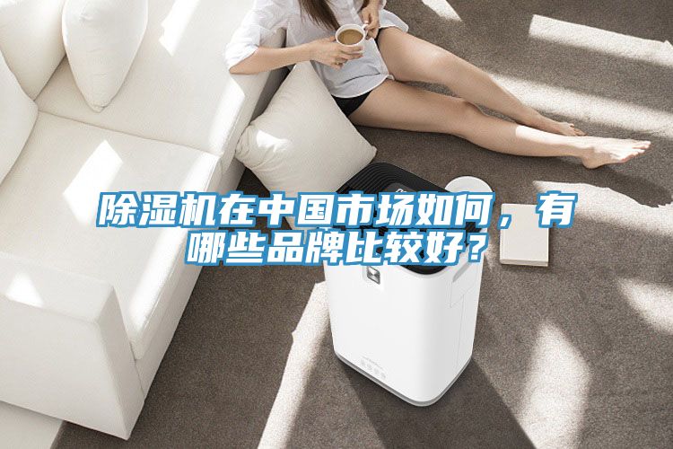 除濕機(jī)在中國市場如何，有哪些品牌比較好？