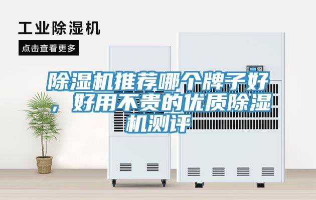除濕機推薦哪個牌子好，好用不貴的優質除濕機測評