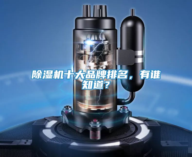 除濕機(jī)十大品牌排名，有誰知道？