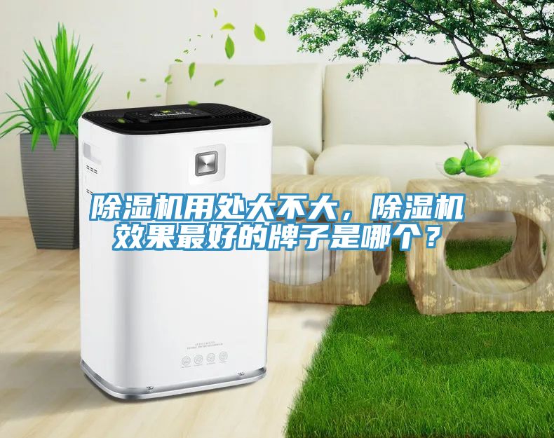 除濕機(jī)用處大不大，除濕機(jī)效果最好的牌子是哪個？