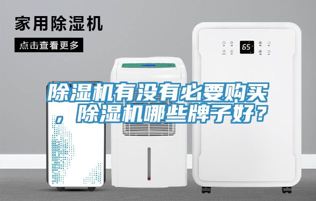 除濕機(jī)有沒有必要購(gòu)買，除濕機(jī)哪些牌子好？