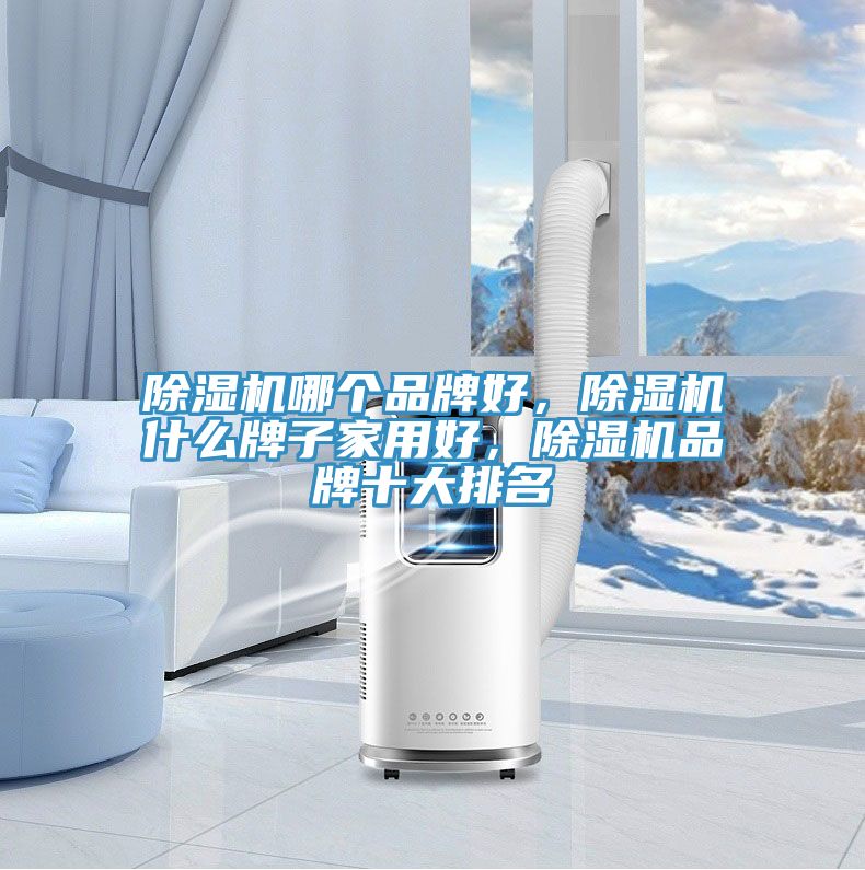 除濕機哪個品牌好，除濕機什么牌子家用好，除濕機品牌十大排名