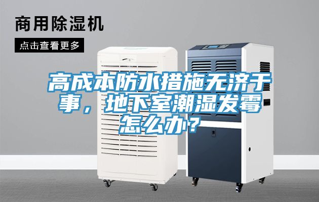 高成本防水措施無濟于事，地下室潮濕發霉怎么辦？