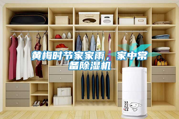 黃梅時節(jié)家家雨，家中常備除濕機