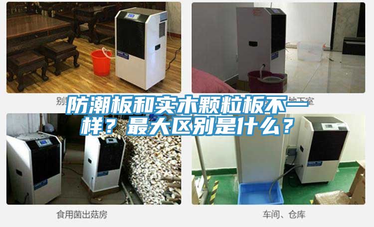 防潮板和實木顆粒板不一樣？最大區別是什么？