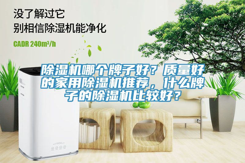 除濕機哪個牌子好？質(zhì)量好的家用除濕機推薦，什么牌子的除濕機比較好？