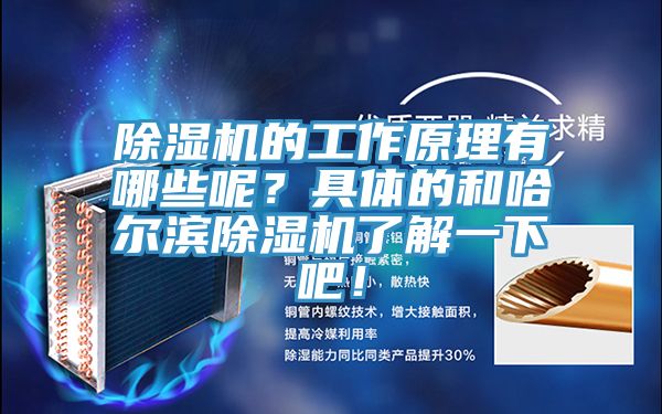 除濕機(jī)的工作原理有哪些呢？具體的和哈爾濱除濕機(jī)了解一下吧！