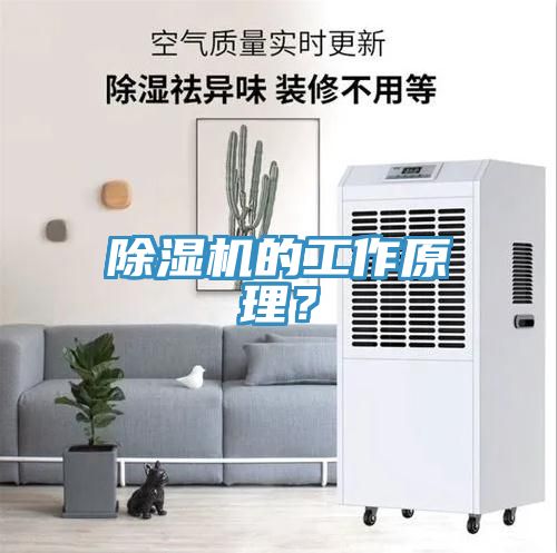 除濕機(jī)的工作原理？