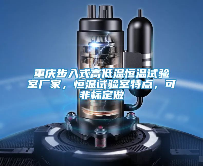 重慶步入式高低溫恒溫試驗室廠家，恒溫試驗室特點，可非標定做