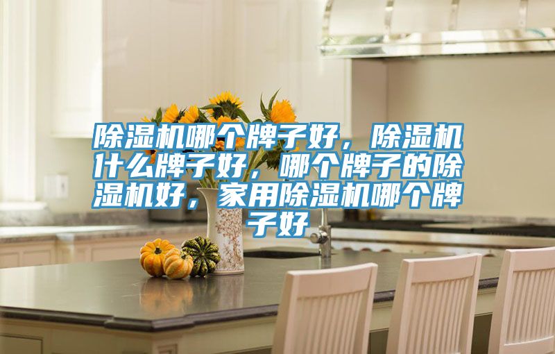 除濕機(jī)哪個牌子好，除濕機(jī)什么牌子好，哪個牌子的除濕機(jī)好，家用除濕機(jī)哪個牌子好