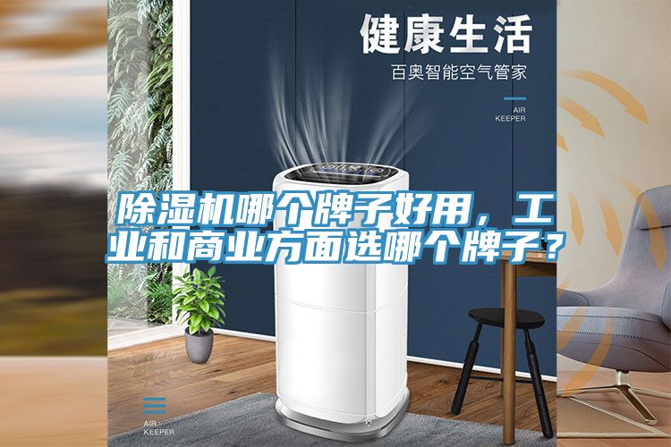除濕機(jī)哪個牌子好用，工業(yè)和商業(yè)方面選哪個牌子？