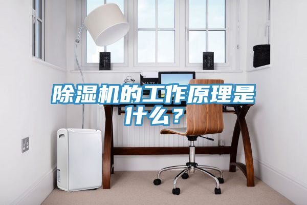 除濕機(jī)的工作原理是什么？