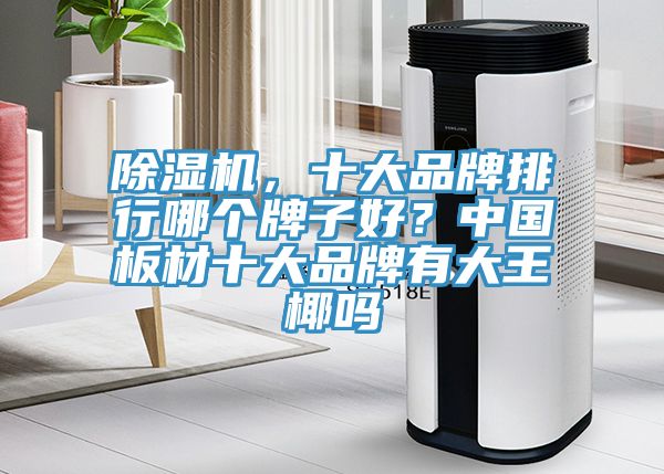 除濕機(jī)，十大品牌排行哪個(gè)牌子好？中國板材十大品牌有大王椰嗎