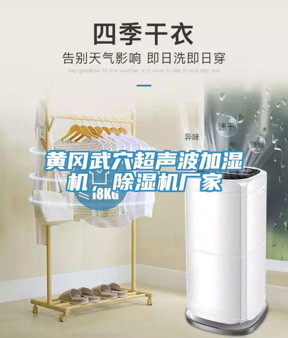 黃岡武穴超聲波加濕機，除濕機廠家