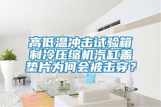 高低溫沖擊試驗箱制冷壓縮機汽缸蓋墊片為何會被擊穿？