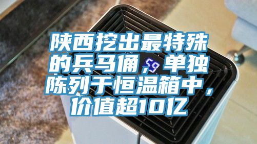 陜西挖出最特殊的兵馬俑，單獨(dú)陳列于恒溫箱中，價值超10億