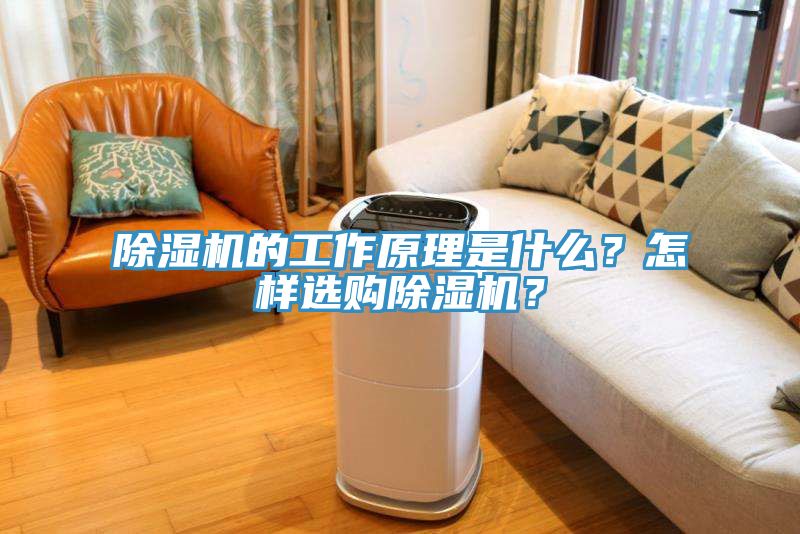 除濕機(jī)的工作原理是什么？怎樣選購除濕機(jī)？