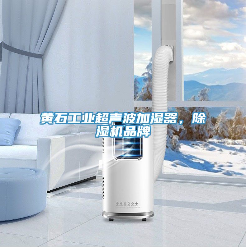 黃石工業超聲波加濕器，除濕機品牌
